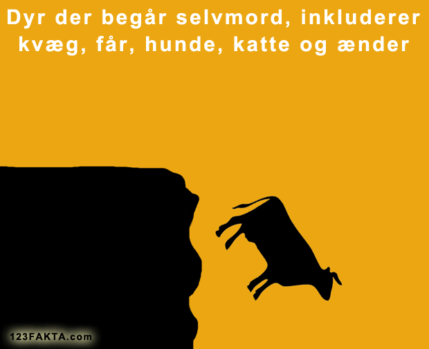 Dyr begår selvmord