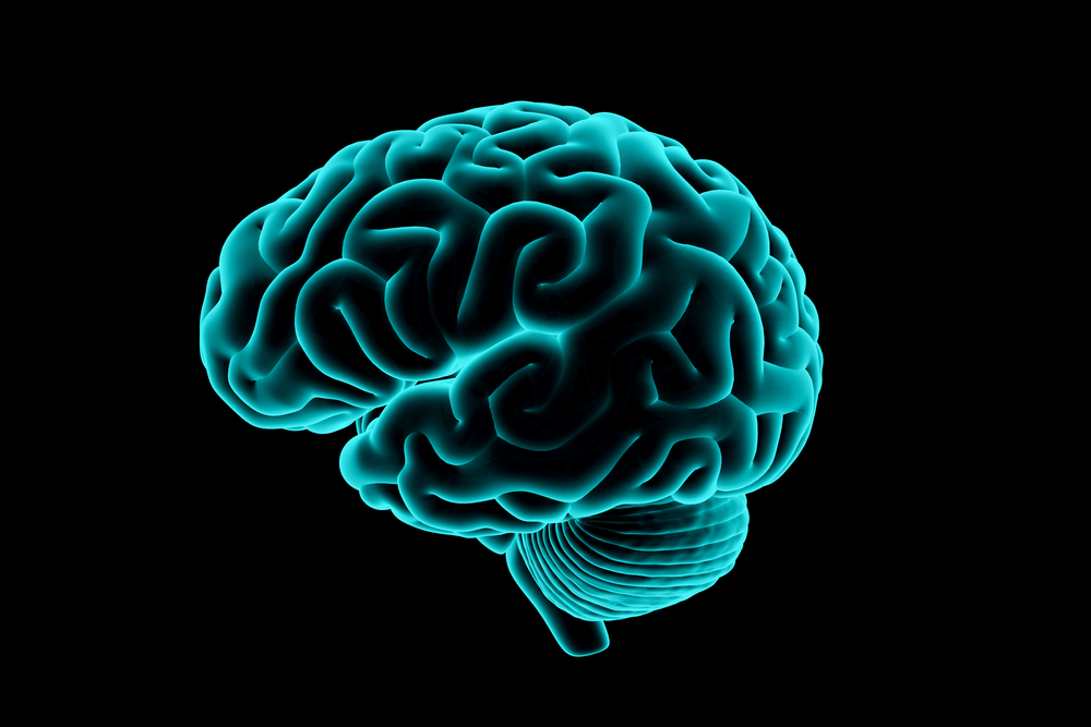 Faits concernant la complexité du cerveau humain