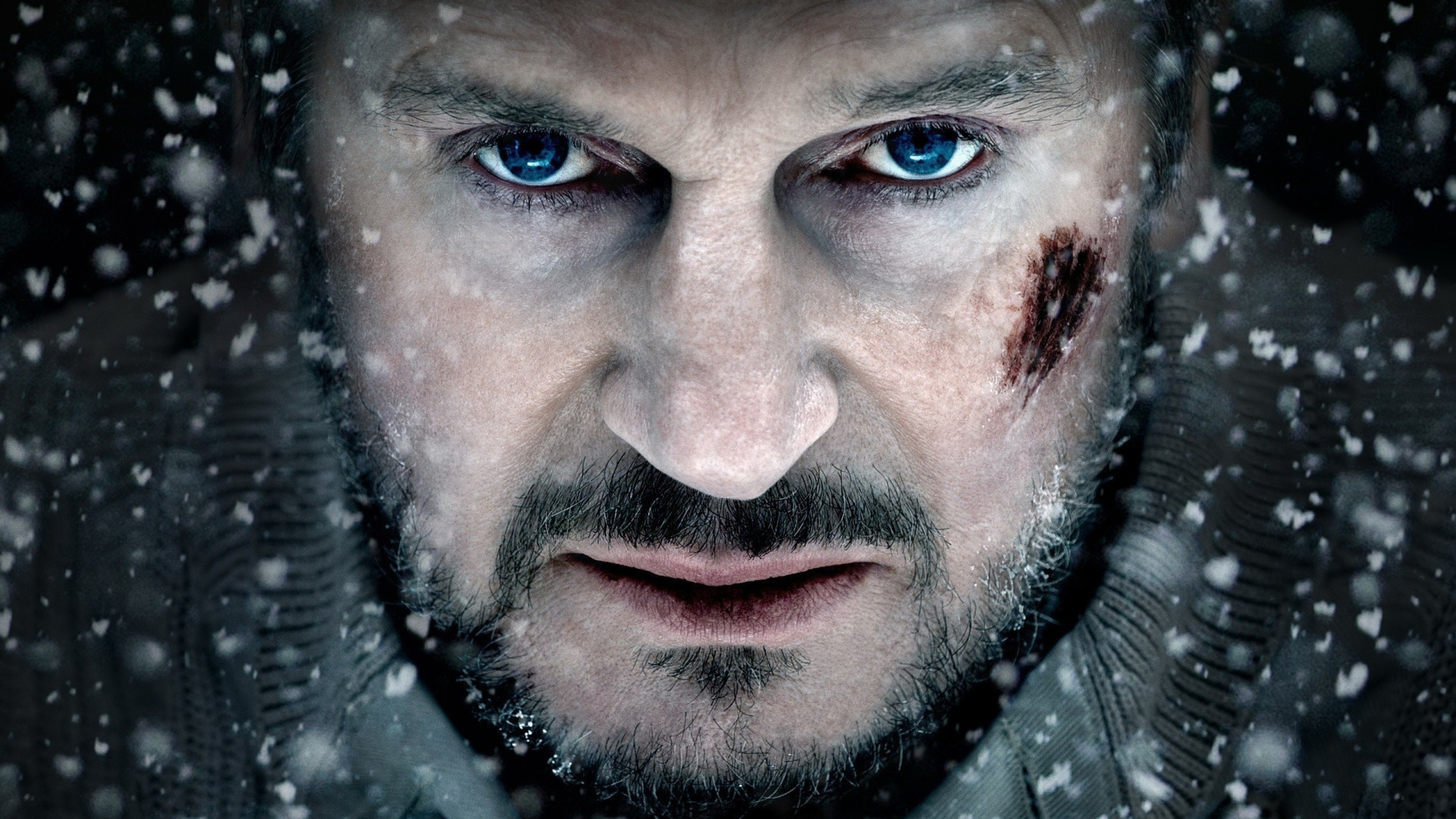 Datos interesantes sobre Liam Neeson