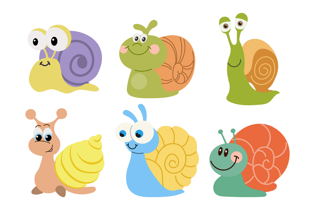 Facts about snails for children